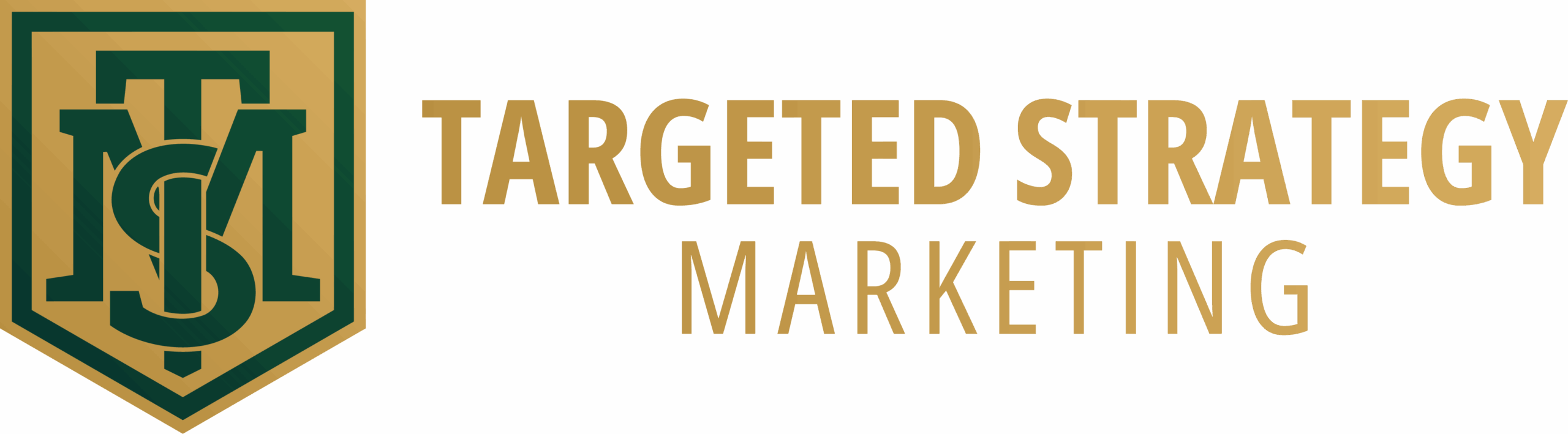 Targeted Strategy Marketing logo